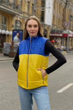 Load image into Gallery viewer, Vest demi-season, unisex, color Yellow-Blue