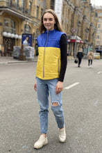 Load image into Gallery viewer, Vest demi-season, unisex, color Yellow-Blue