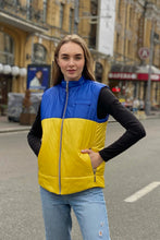 Load image into Gallery viewer, Vest demi-season, unisex, color Yellow-Blue
